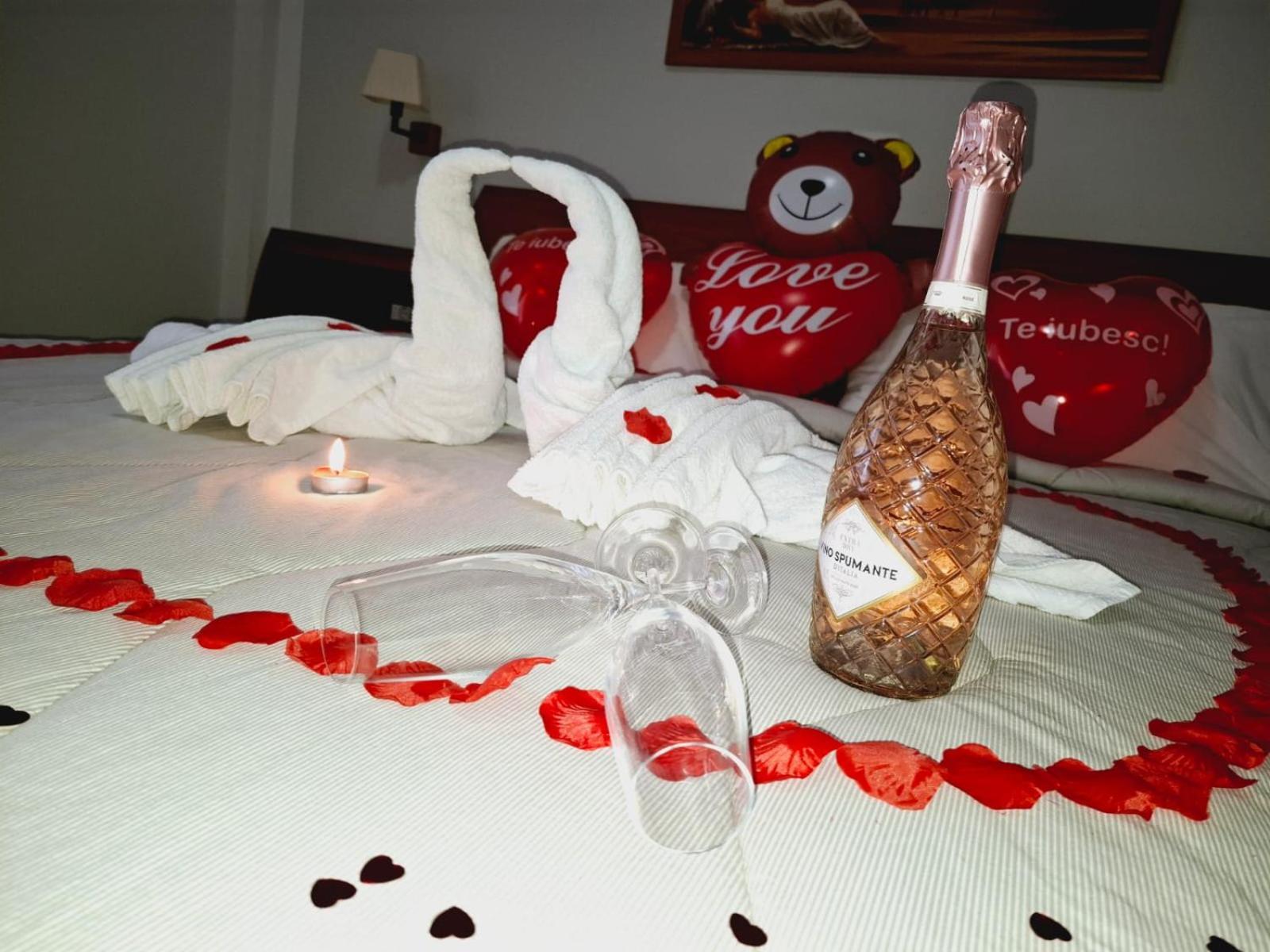 Hotel Vila Veneto Timisoara Ngoại thất bức ảnh